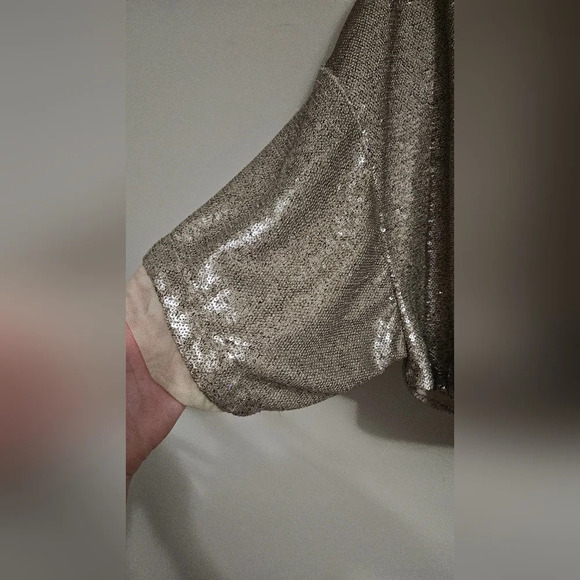 FREE PEOPLE Champagne Dreams Top sequin hold. Size XS - Picture 11 of 16